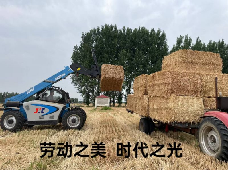 勞動之美 時代之光